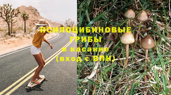 каннабис Балахна
