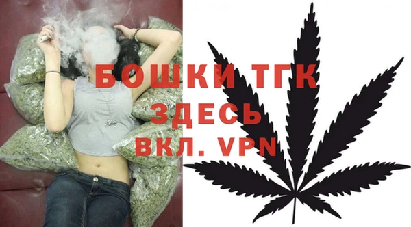 дмт Аркадак