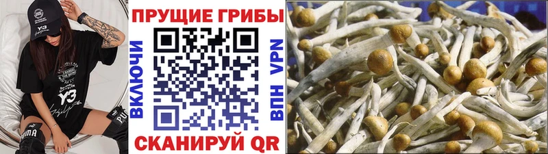 Псилоцибиновые грибы ЛСД  где можно купить наркотик  Безенчук 
